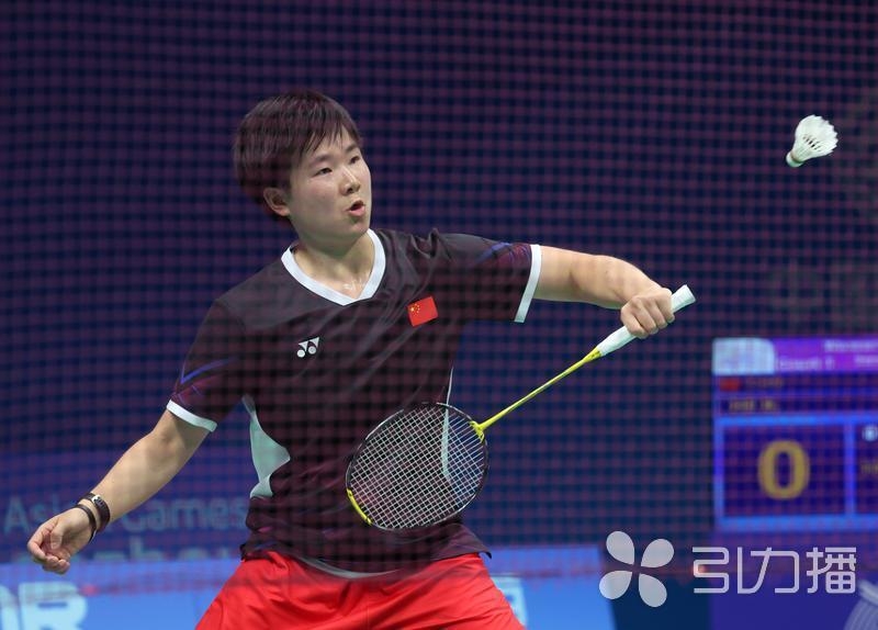 无数球迷的 无数球迷的