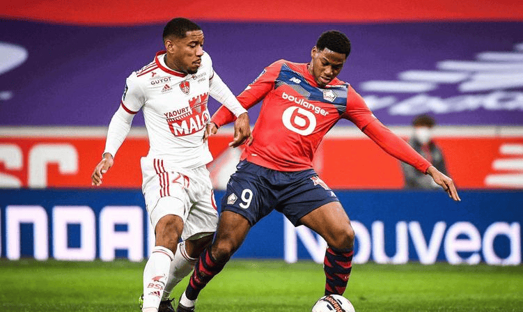 仅是为了三 仅是为了三