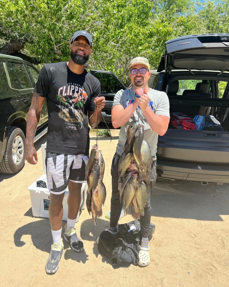 带来信心 带来信心